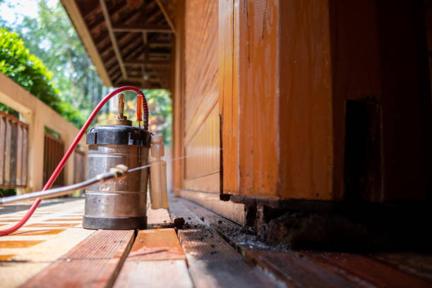 Best Mosquito Control Services  in Belgrade, MT