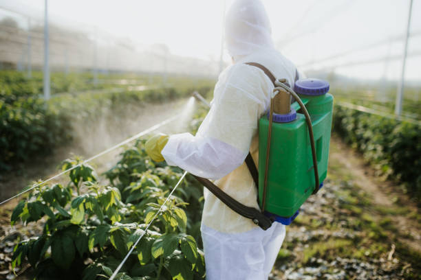 Best Flea Control Services  in Belgrade, MT
